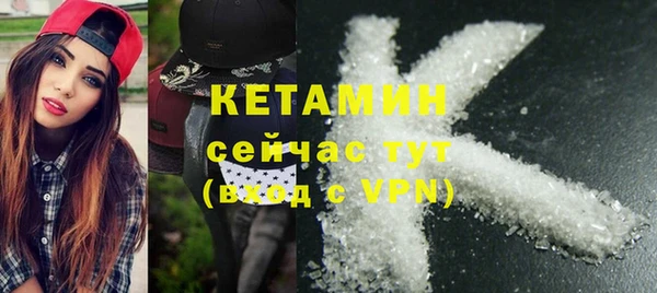 индика Богородицк