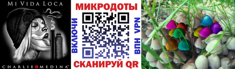 купить   Дагестанские Огни  Галлюциногенные грибы Cubensis 